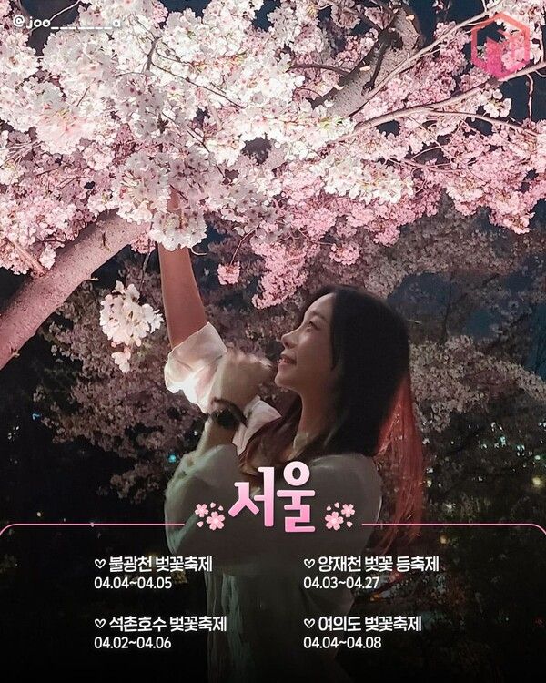 2025 전국 벚꽃축제 일정 총정리 / ⓒ여행톡톡