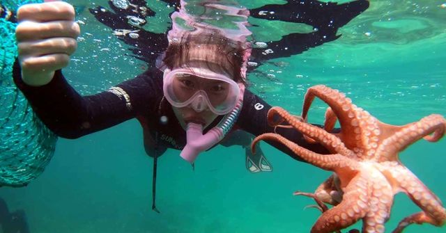 온라인 커뮤니티