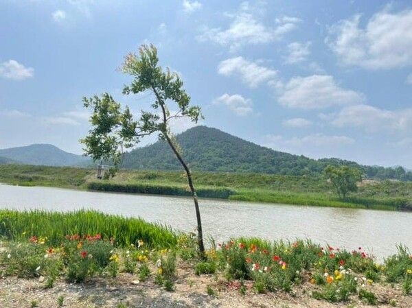 온라인 커뮤니티