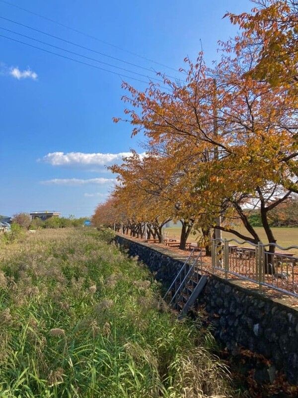 온라인 커뮤니티