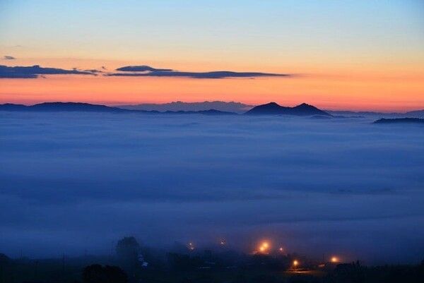 온라인 커뮤니티