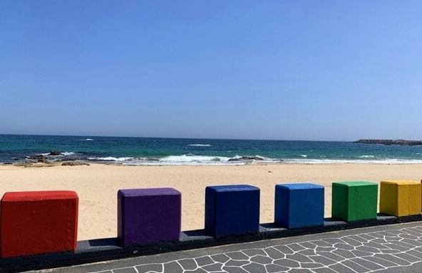 온라인 커뮤니티