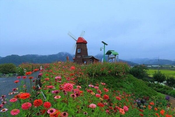 온라인 커뮤니티