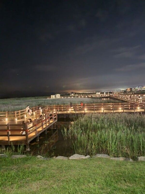 온라인 커뮤니티