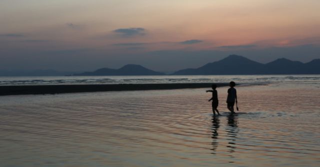 온라인 커뮤니티