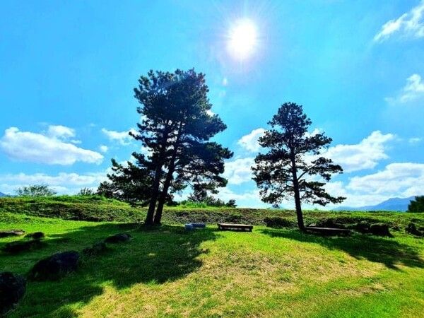 온라인 커뮤니티