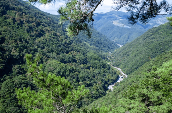 온라인 커뮤니티