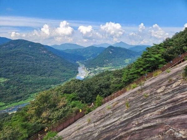 온라인 커뮤니티