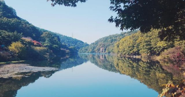 온라인 커뮤니티