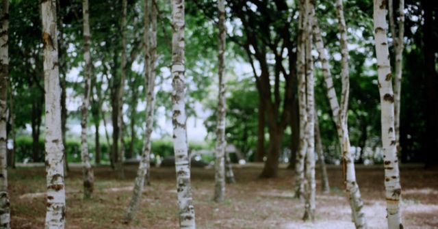 온라인 커뮤니티