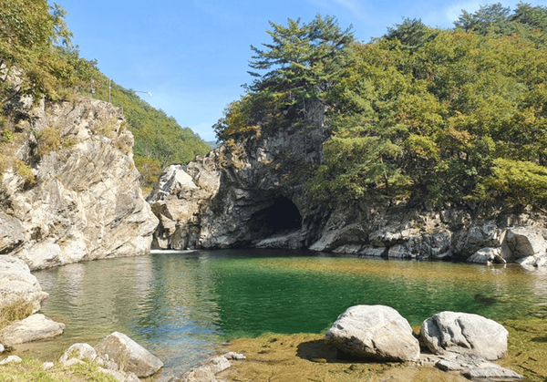 온라인 커뮤니티