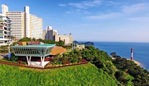 온라인 커뮤니티