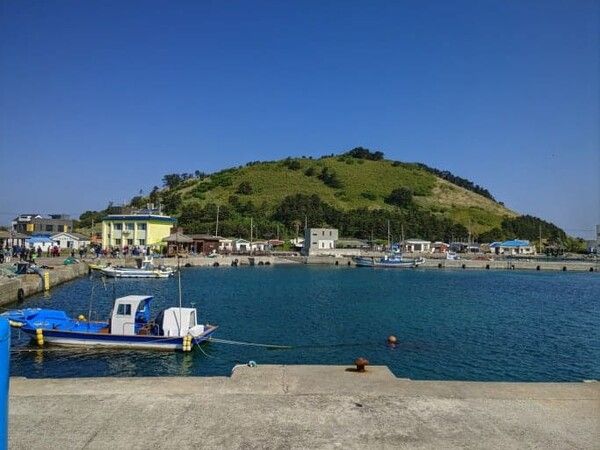 온라인 커뮤니티