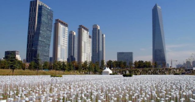 온라인 커뮤니티