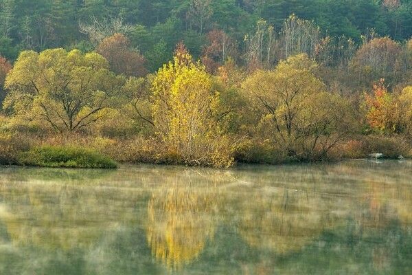 온라인 커뮤니티