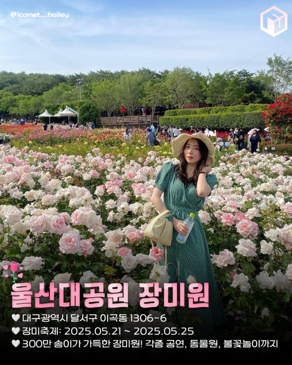 ⓒ여행톡톡 / 장미 명소추천