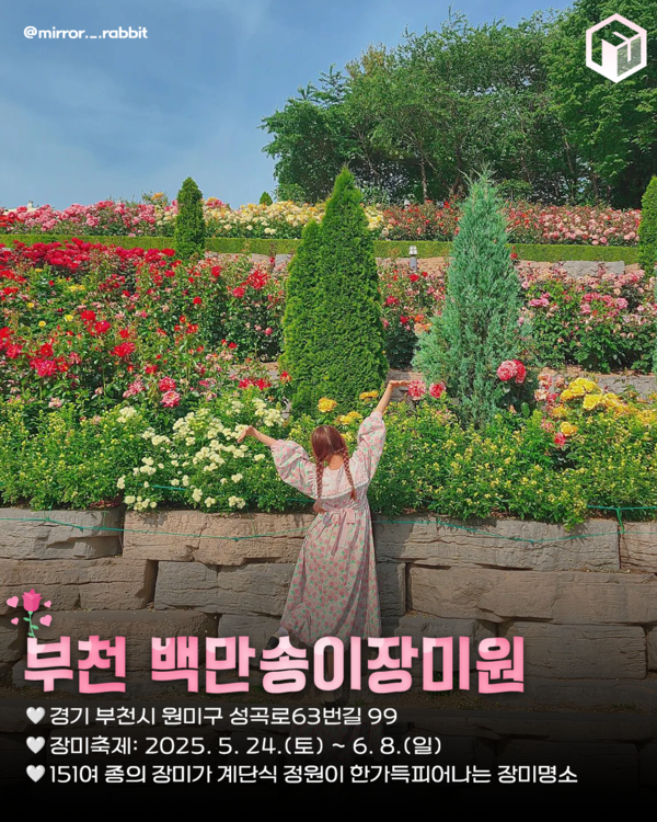 ⓒ여행톡톡 / 장미 명소추천