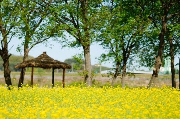 온라인 커뮤니티