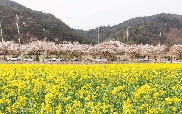 온라인 커뮤니티