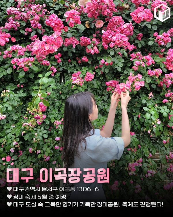 ⓒ여행톡톡 / 장미 명소추천
