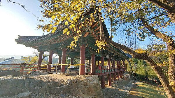 온라인 커뮤니티