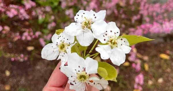 덕평공룡수목원 인스타그램