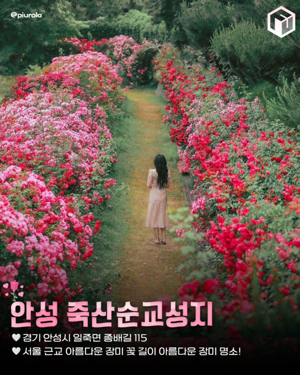 ⓒ여행톡톡 / 장미 명소추천