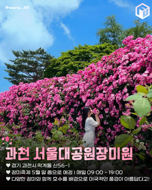 ⓒ여행톡톡 / 장미 명소추천