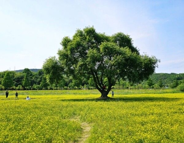온라인 커뮤니티