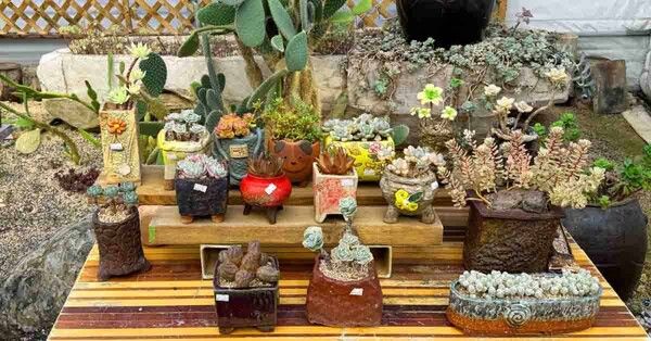 덕평공룡수목원 인스타그램