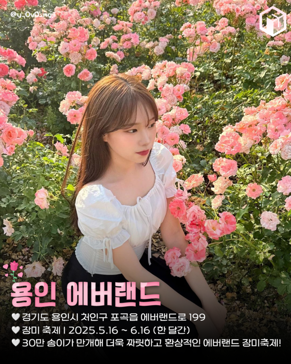 ⓒ여행톡톡 / 장미 명소추천