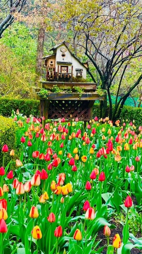 온라인 커뮤니티