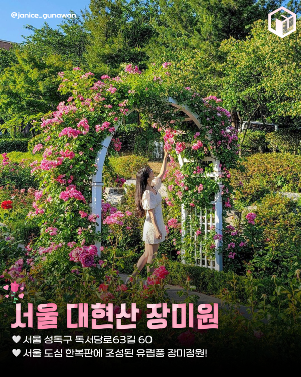 ⓒ여행톡톡 / 장미 명소추천