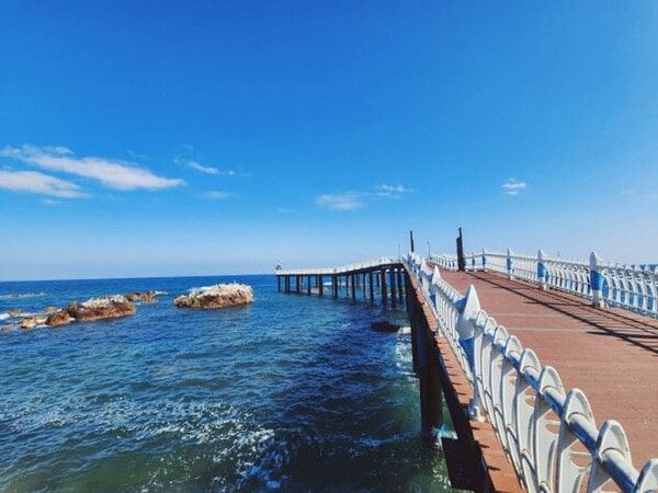 온라인 커뮤니티