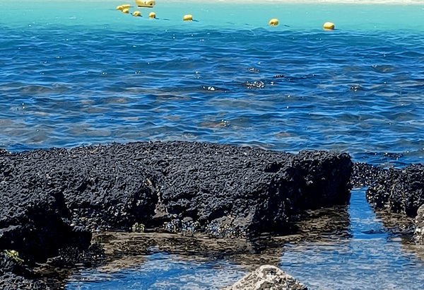 온라인 커뮤니티