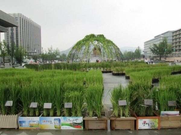 온라인 커뮤니티