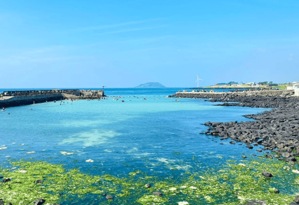 온라인 커뮤니티