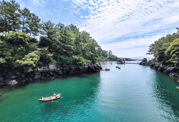 온라인 커뮤니티