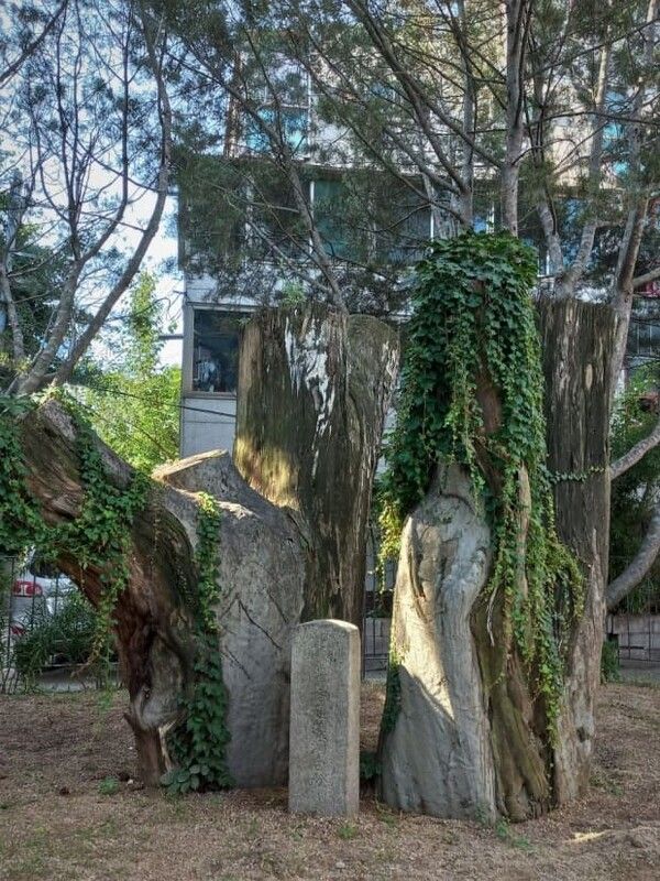 온라인 커뮤니티