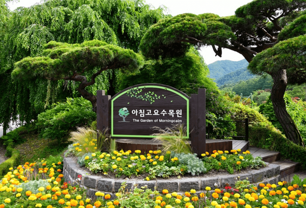 온라인 커뮤니티