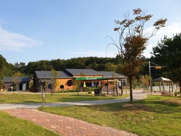 온라인 커뮤니티