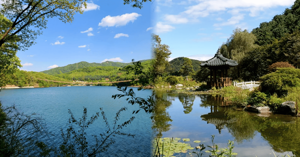 트리플 / 온라인 커뮤니티