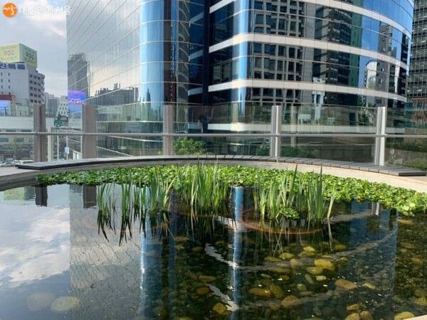 온라인 커뮤니티