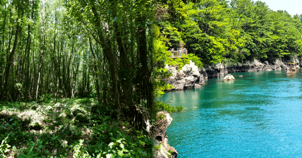 비짓제주 / 온라인 커뮤니티