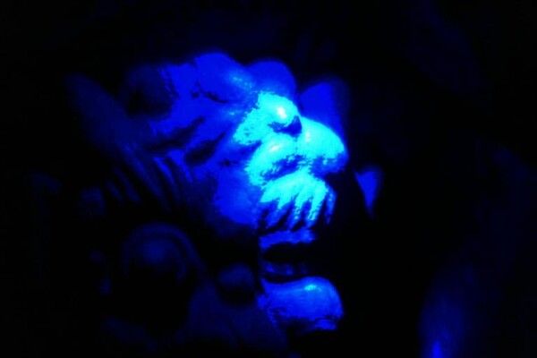 온라인 커뮤니티