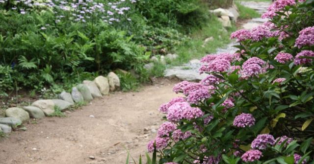 온라인 커뮤니티