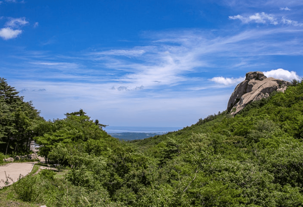 온라인 커뮤니티