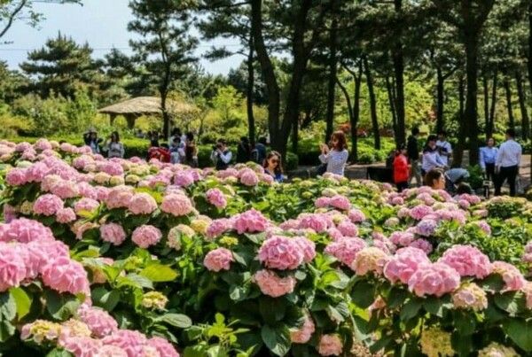 온라인 커뮤니티