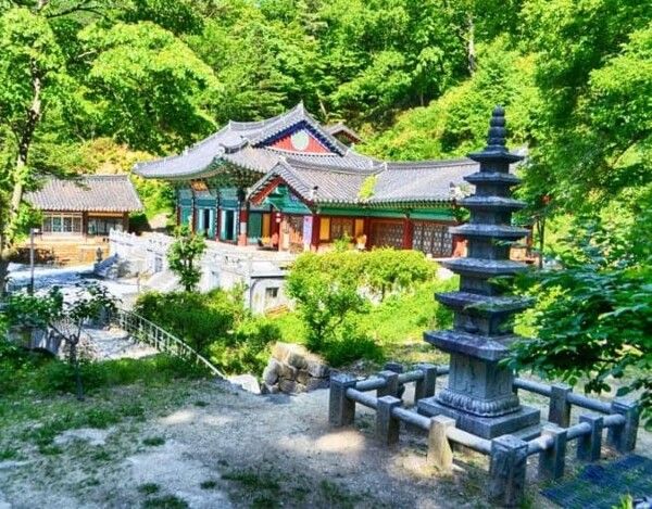 온라인 커뮤니티