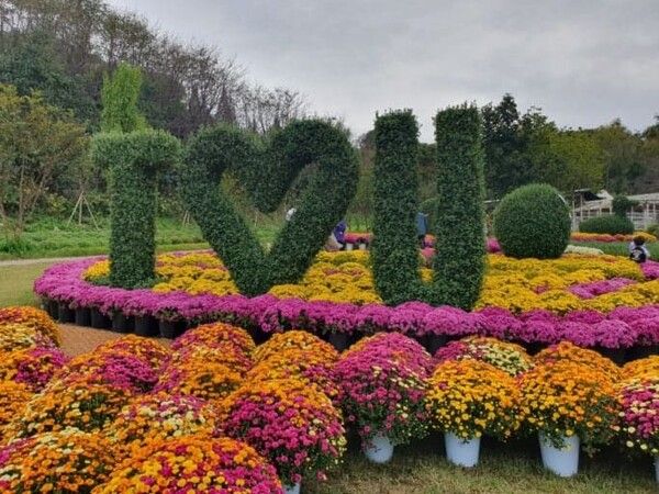 온라인 커뮤니티